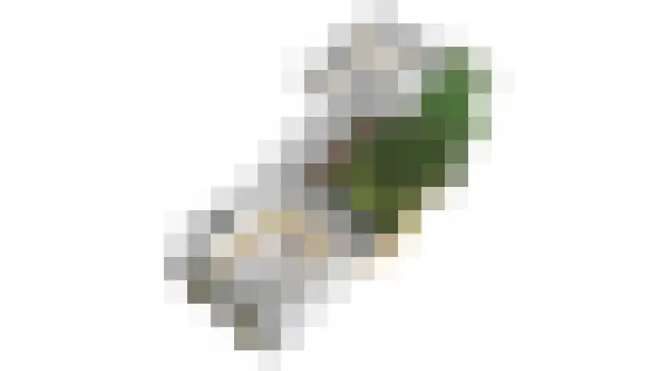 Neuweg 38 Hilversum thumbnail 39
