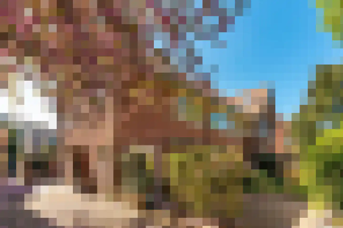 Neuweg 401 Hilversum thumbnail 4