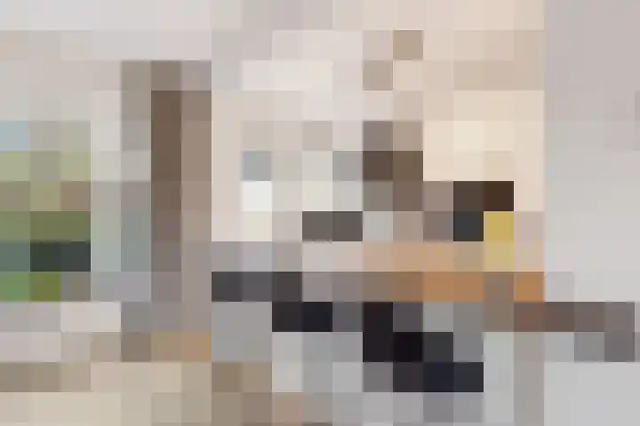 Neuweg 429 Hilversum thumbnail 10