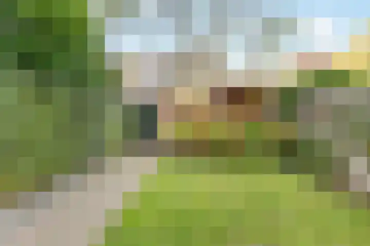 Neuweg 429 Hilversum thumbnail 15