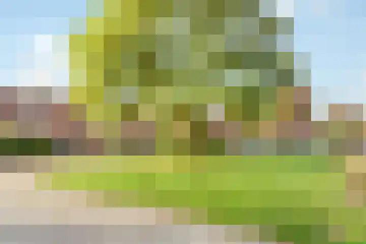 Neuweg 429 Hilversum thumbnail 26