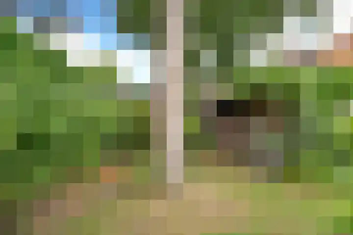 Neuweg 451 Hilversum thumbnail 24