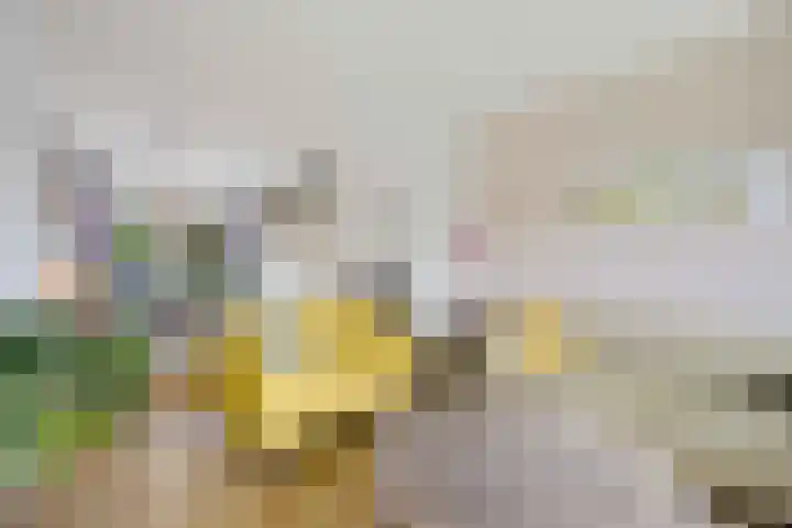 Neuweg 467 Hilversum thumbnail 10