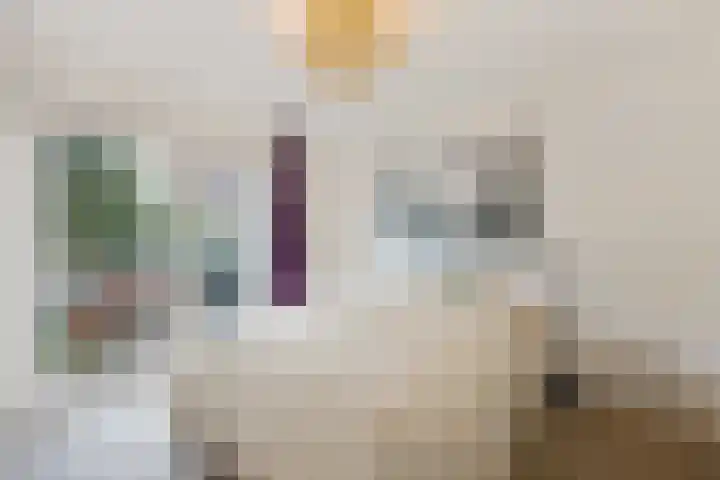 Neuweg 467 Hilversum thumbnail 15
