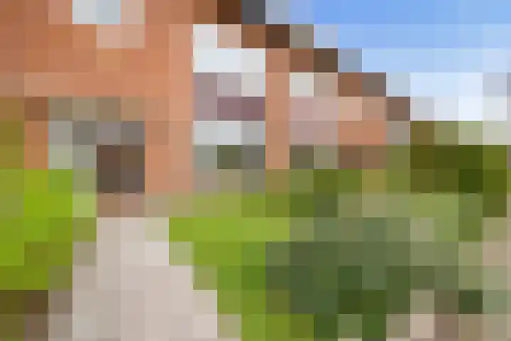 Neuweg 467 Hilversum thumbnail 41