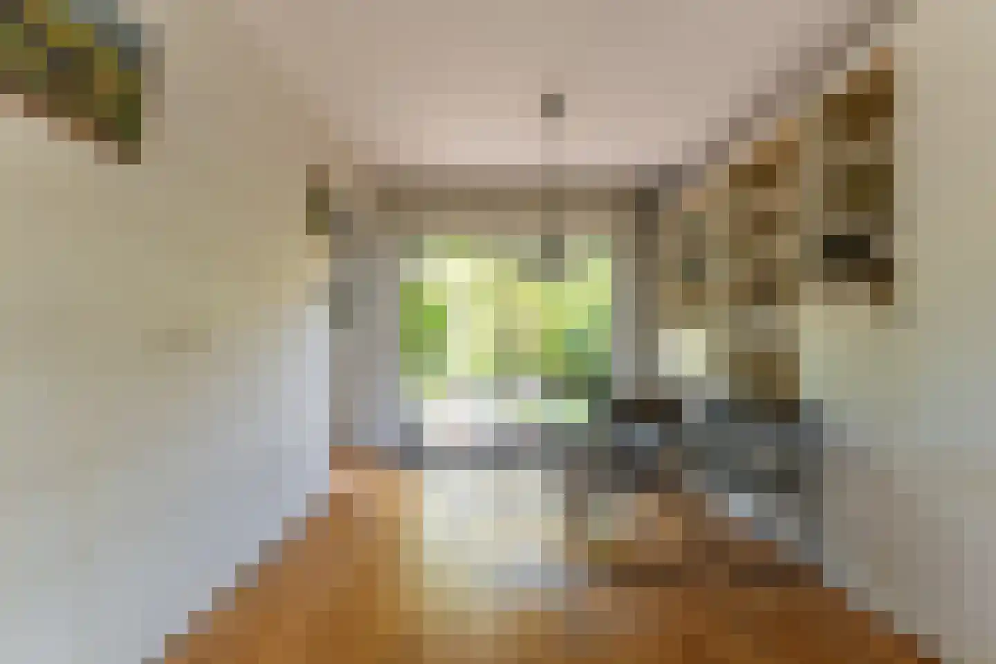 Neuweg 479 Hilversum thumbnail 10