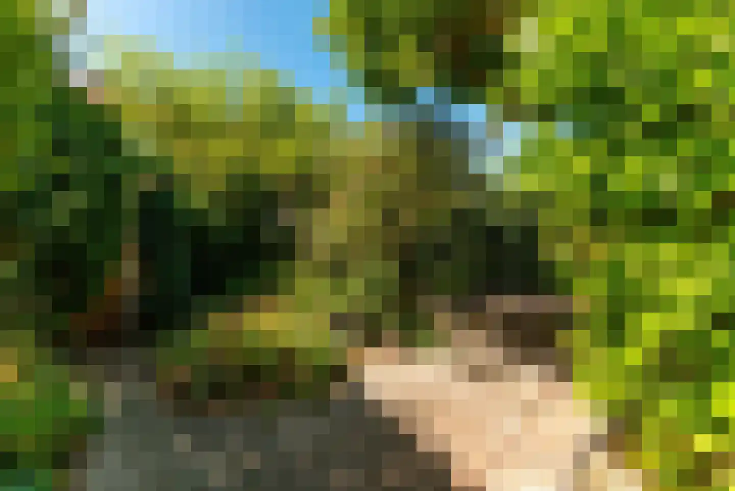 Neuweg 479 Hilversum thumbnail 11