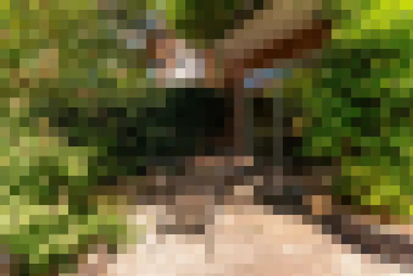 Neuweg 479 Hilversum thumbnail 12
