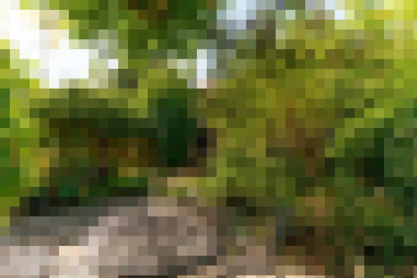Neuweg 479 Hilversum thumbnail 14