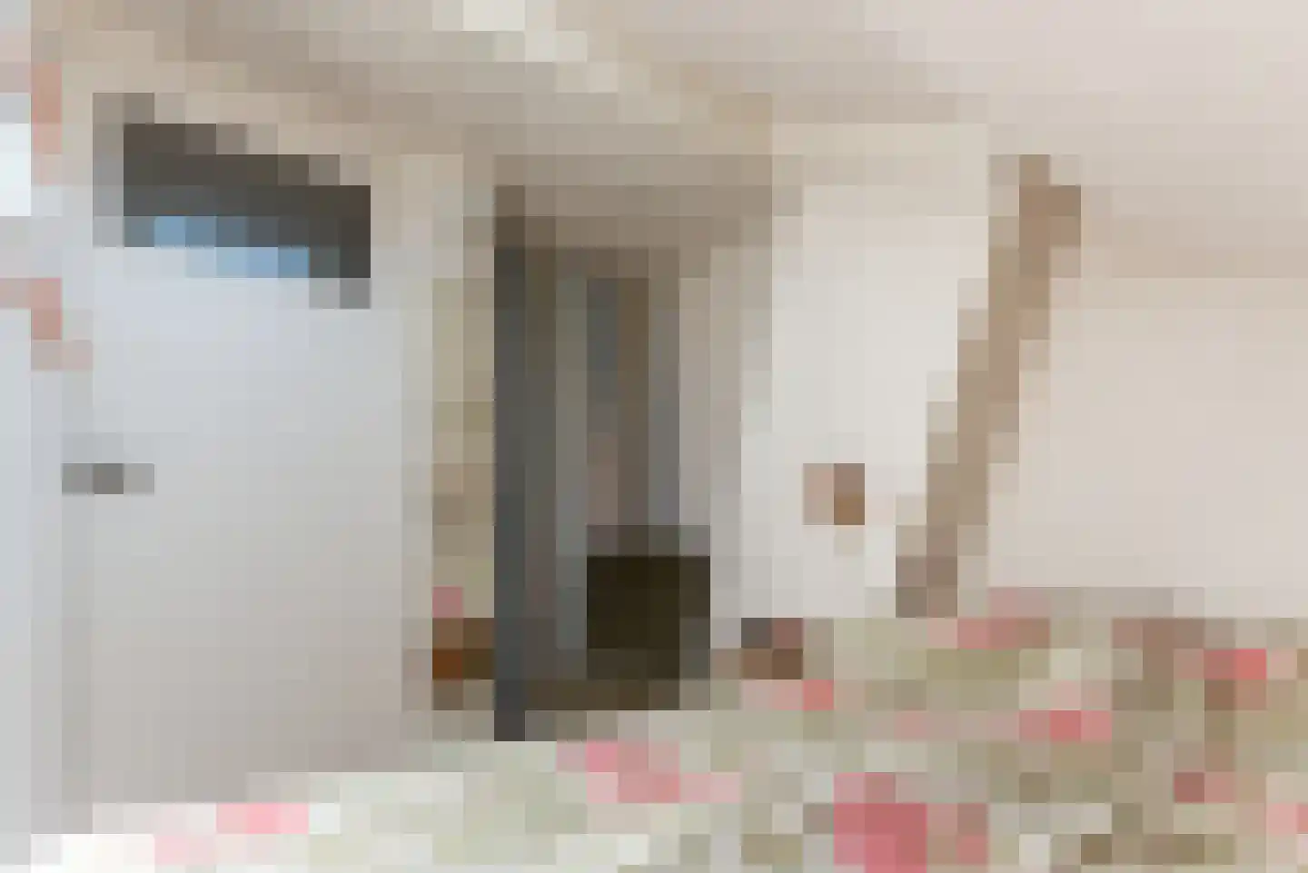 Neuweg 479 Hilversum thumbnail 24