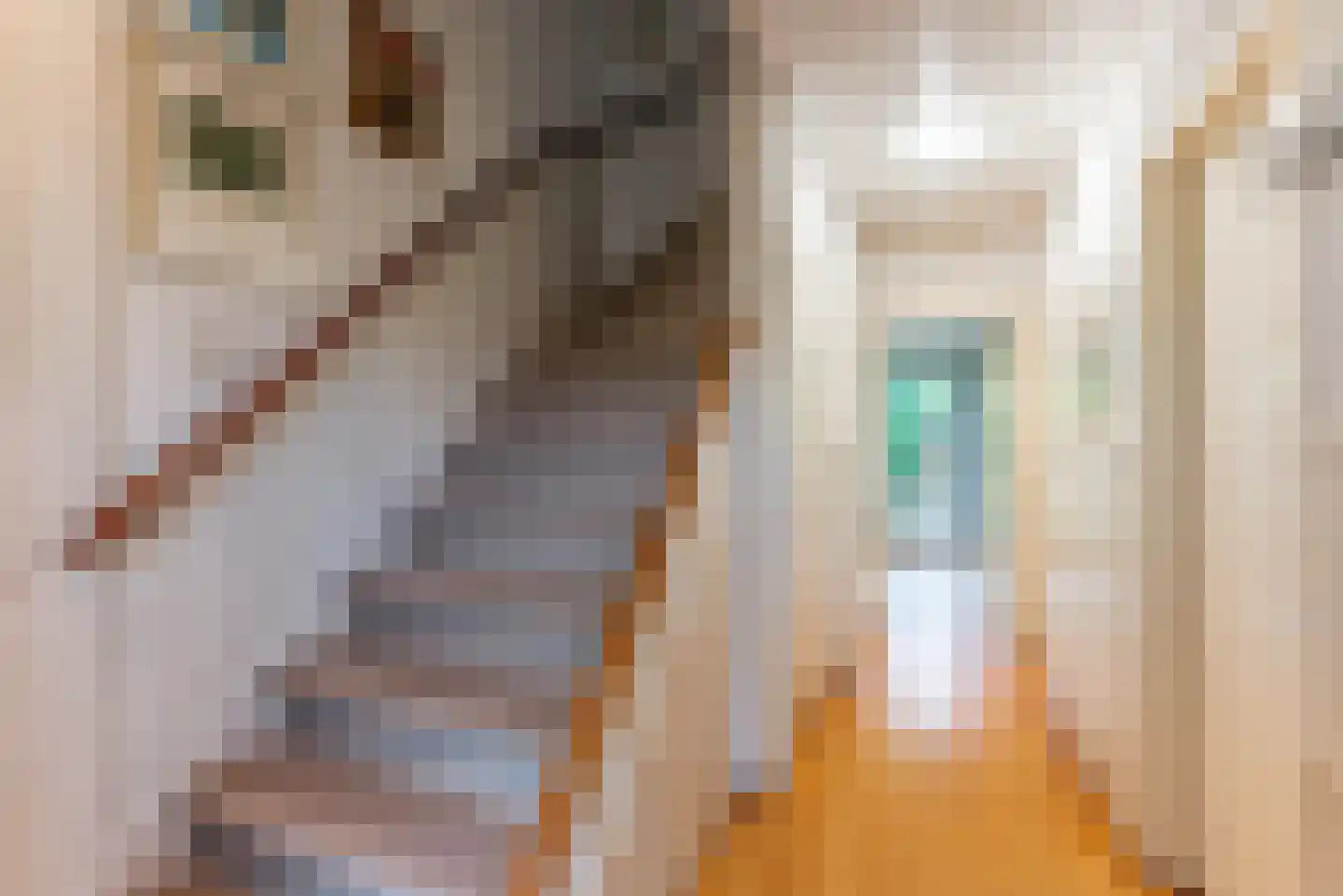 Neuweg 479 Hilversum thumbnail 5