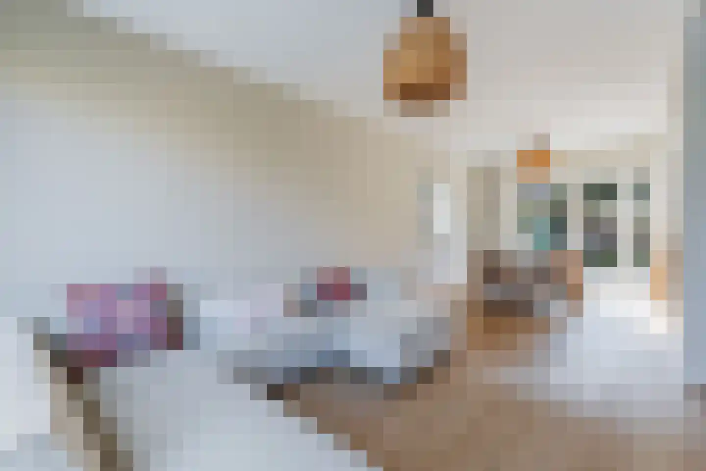 Neuweg 485 Hilversum thumbnail 4