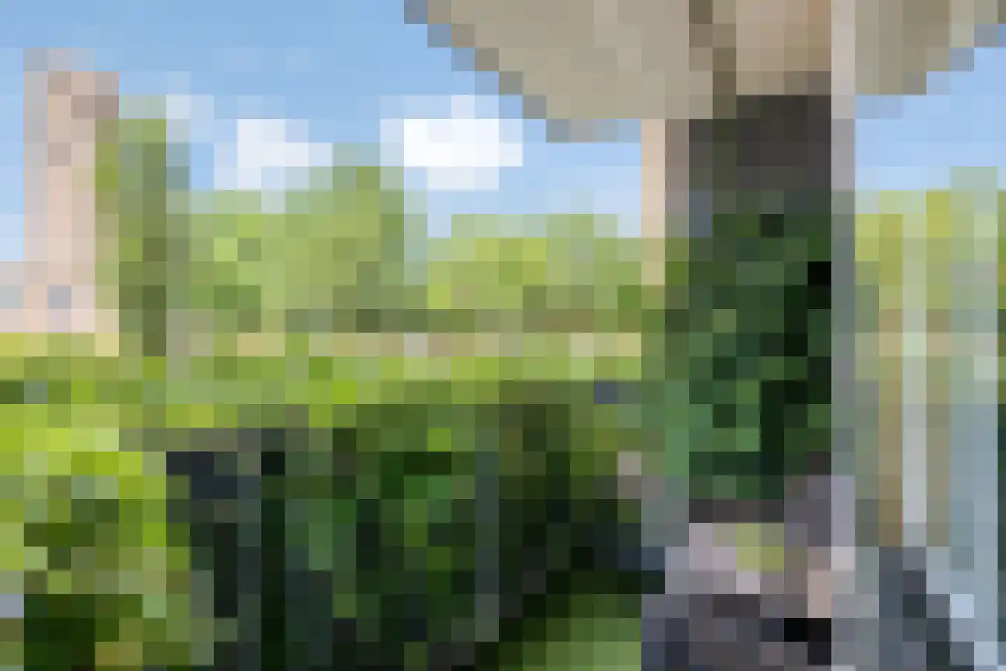 Neuweg 509 Hilversum thumbnail 10