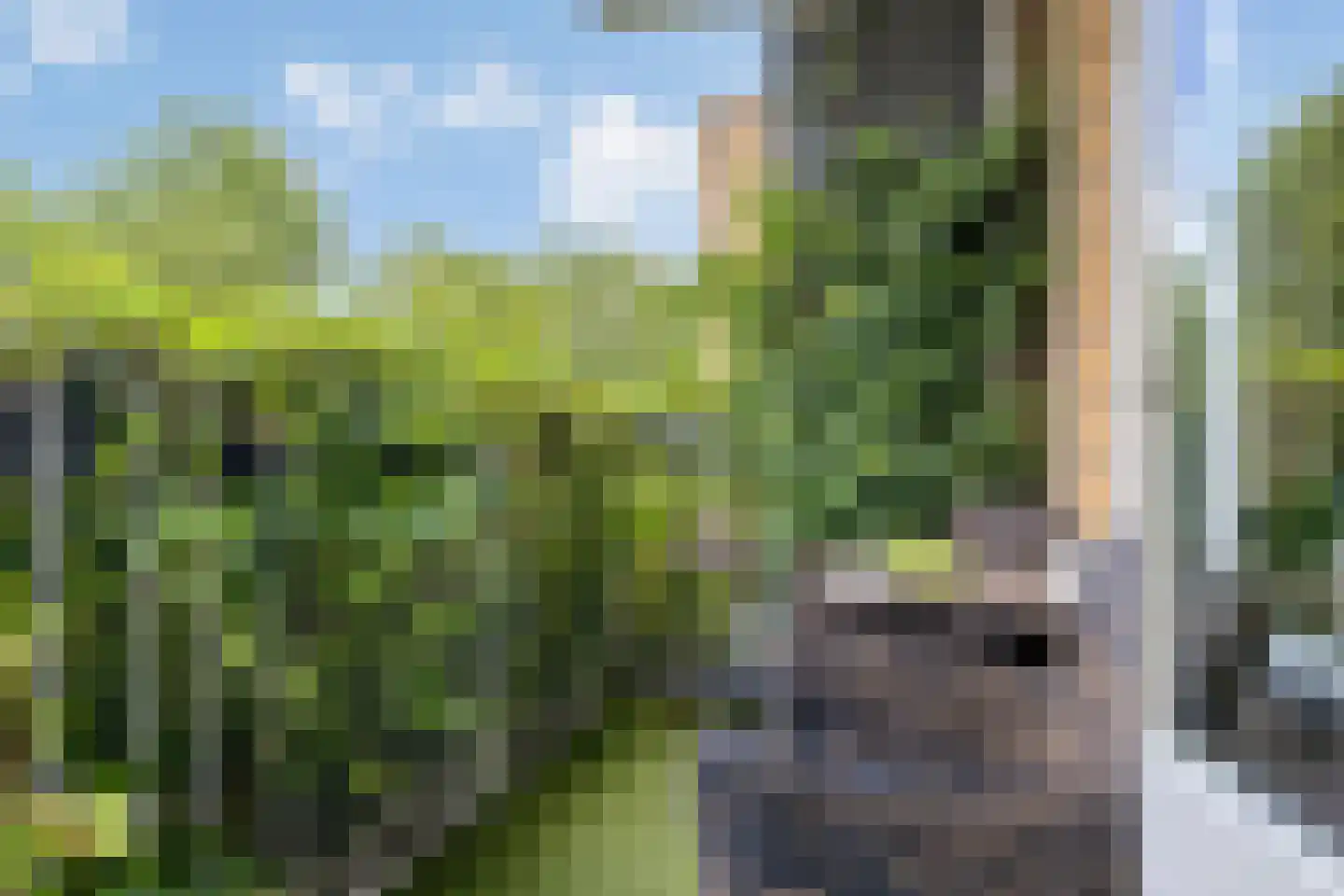 Neuweg 509 Hilversum thumbnail 9
