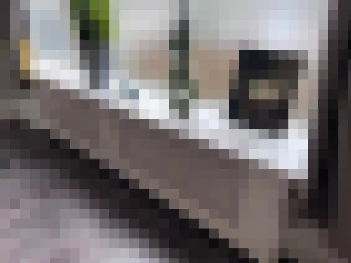 Neuweg 513 Hilversum thumbnail 6