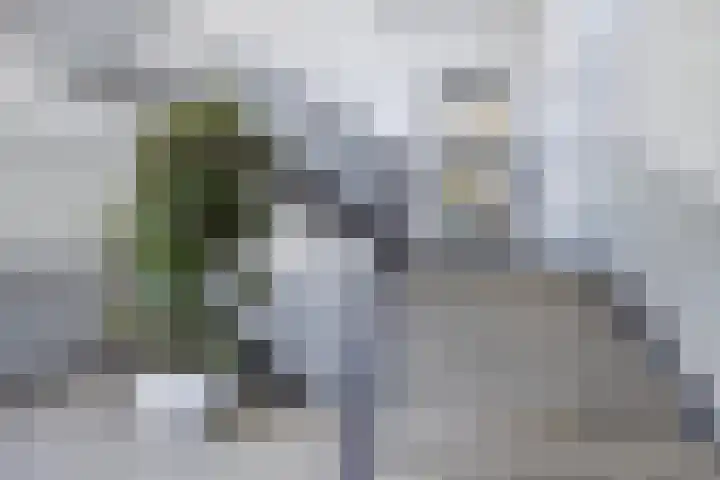 Neuweg 539 Hilversum thumbnail 17