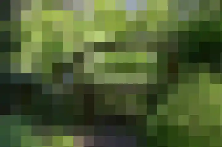 Neuweg 539 Hilversum thumbnail 25
