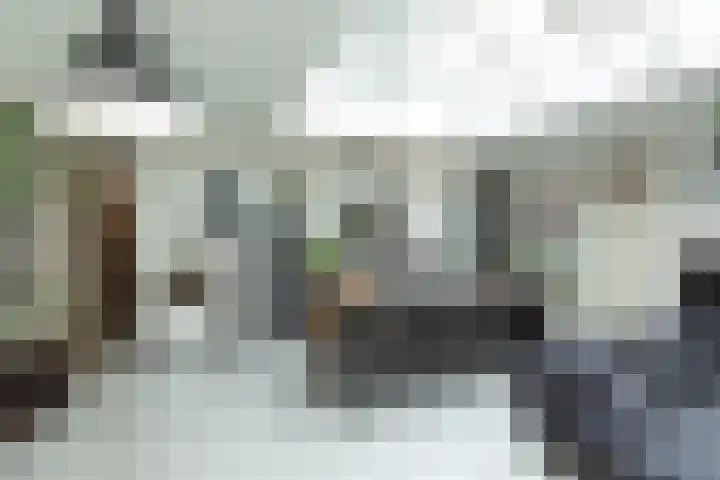 Neuweg 80 B Hilversum thumbnail 7