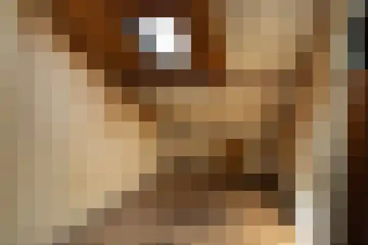 Neuweg 81 Hilversum thumbnail 28