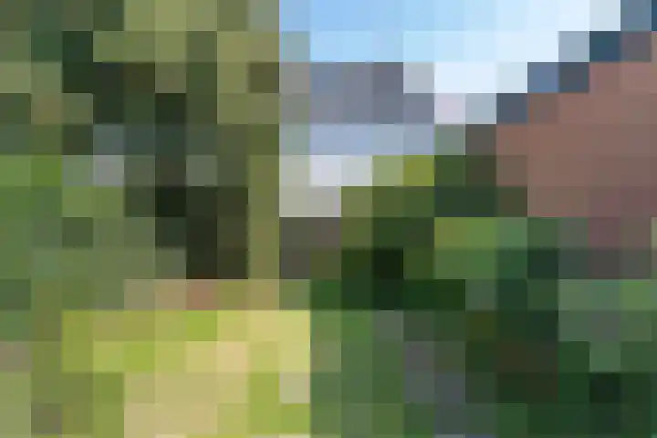 Neuweg 81 Hilversum thumbnail 30