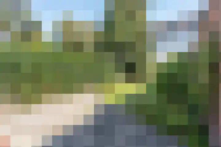 Neuweg 81 Hilversum thumbnail 31