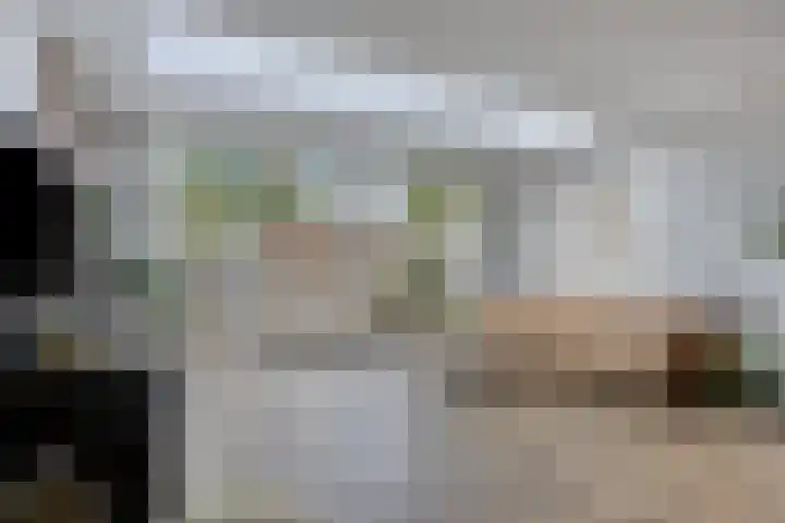 Nevelgrijs 29 Zoetermeer