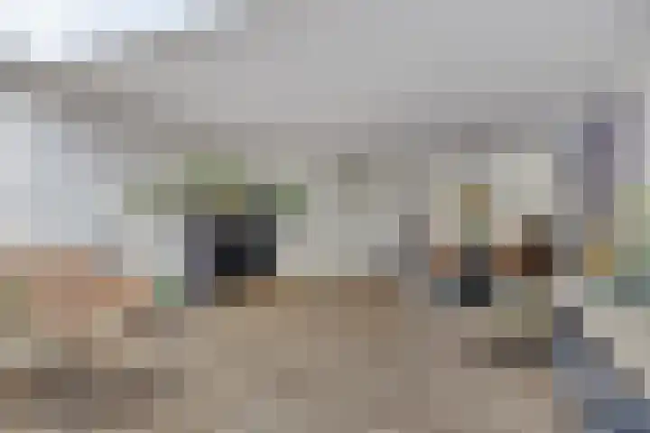 Nevelgrijs 29 Zoetermeer thumbnail 11