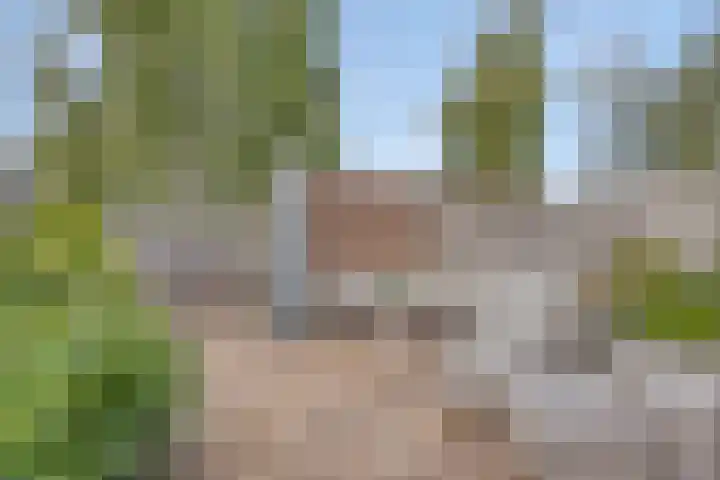 Nevelgrijs 29 Zoetermeer thumbnail 15