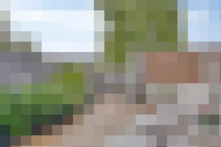Nevelgrijs 29 Zoetermeer thumbnail 16