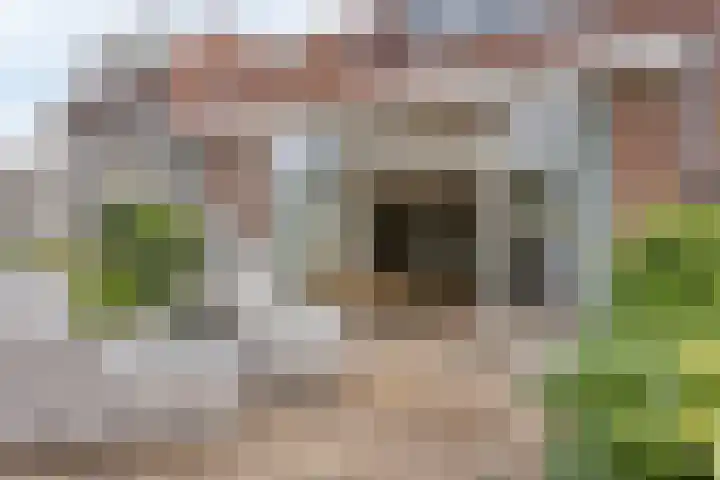 Nevelgrijs 29 Zoetermeer thumbnail 18