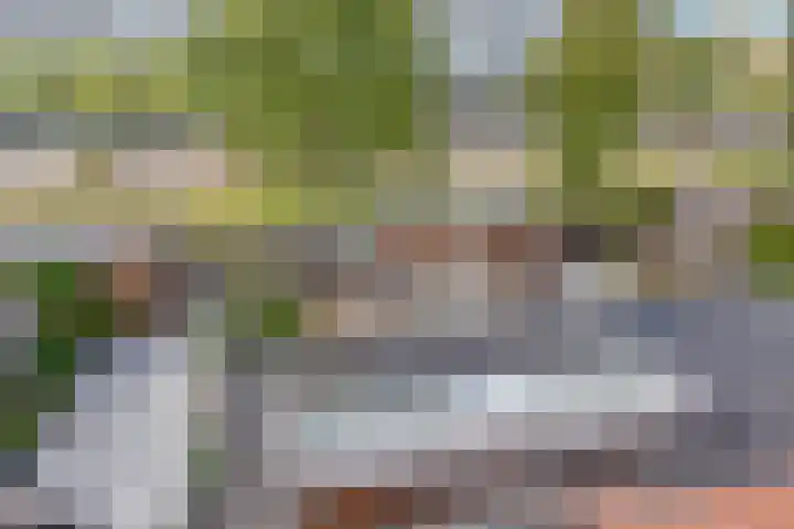 Nevelgrijs 29 Zoetermeer thumbnail 19