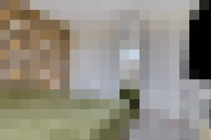 Nevelgrijs 29 Zoetermeer thumbnail 23