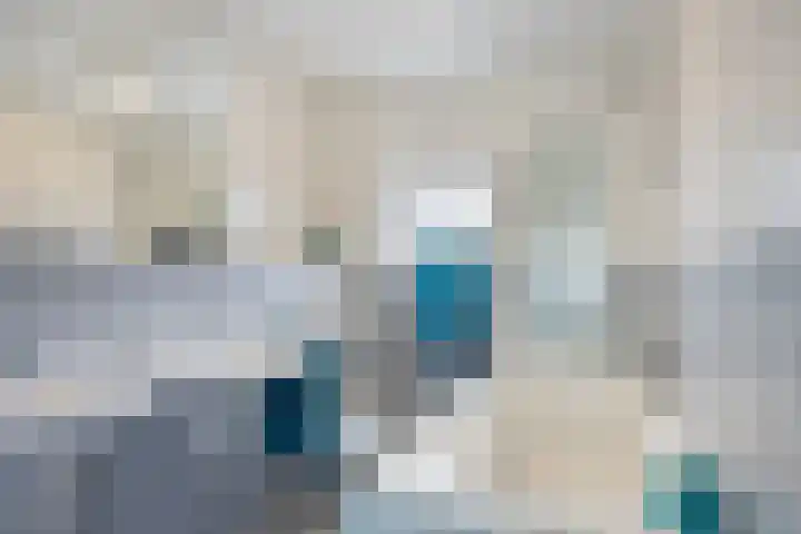 Nevelgrijs 29 Zoetermeer thumbnail 24