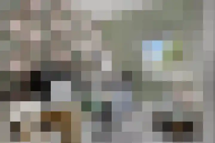 Nevelgrijs 29 Zoetermeer thumbnail 26