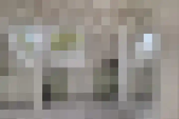 Nevelgrijs 29 Zoetermeer thumbnail 28