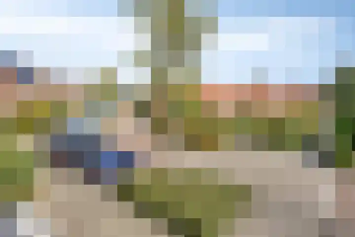 Nevelgrijs 29 Zoetermeer thumbnail 36