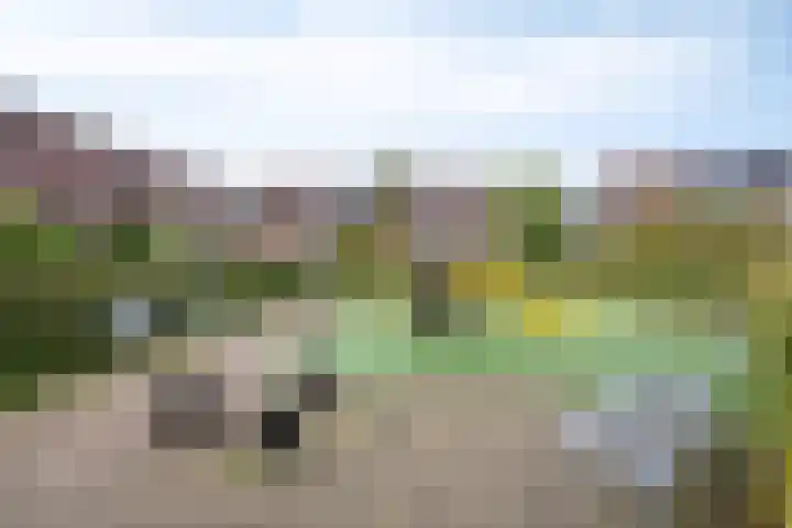 Nevelgrijs 29 Zoetermeer thumbnail 37