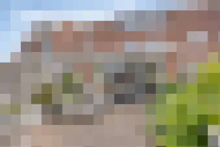 Nevelgrijs 29 Zoetermeer thumbnail 5