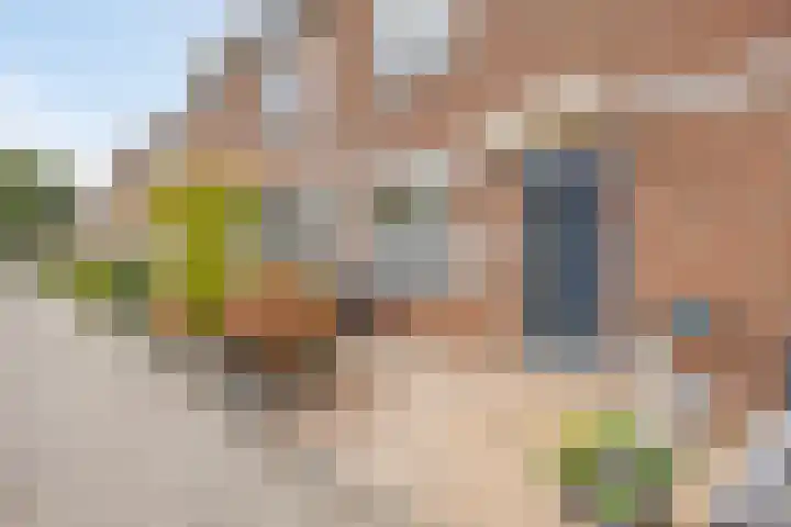 Nevelgrijs 29 Zoetermeer thumbnail 7