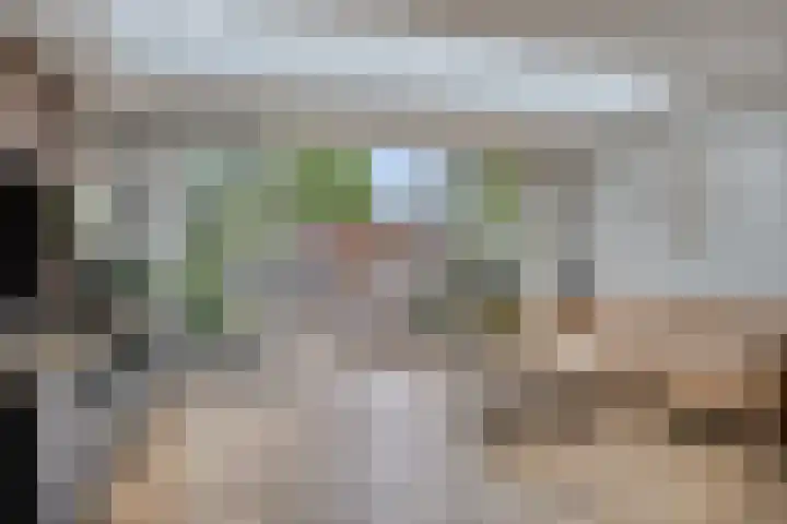 Nevelgrijs 29 Zoetermeer thumbnail 9