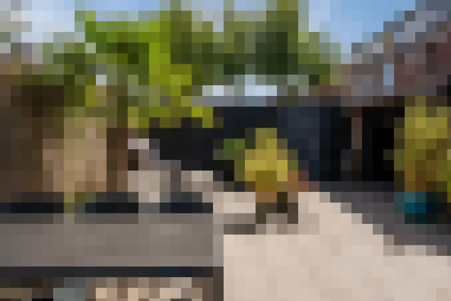 Nevelpanter 42 Heerhugowaard thumbnail 53