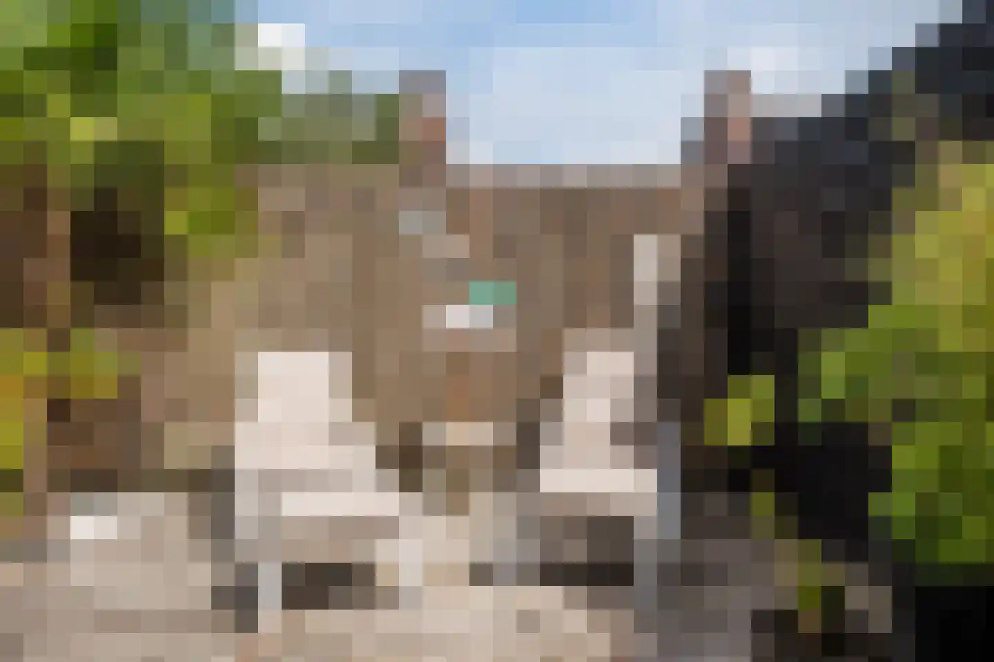 Nevelpanter 42 Heerhugowaard thumbnail 54