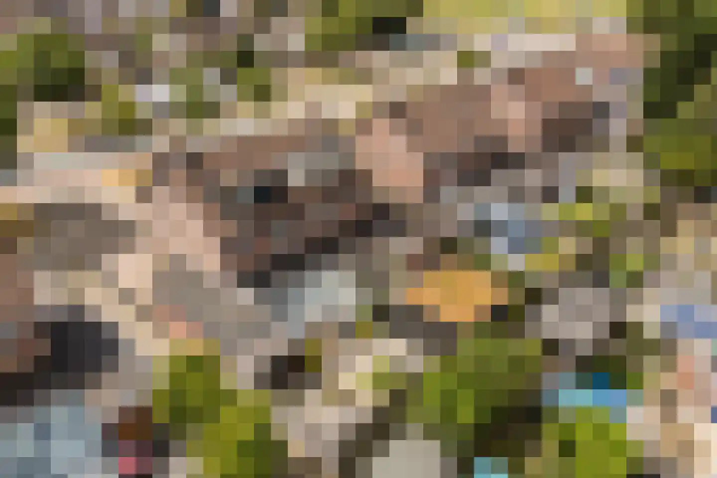 Nevelpanter 42 Heerhugowaard thumbnail 62