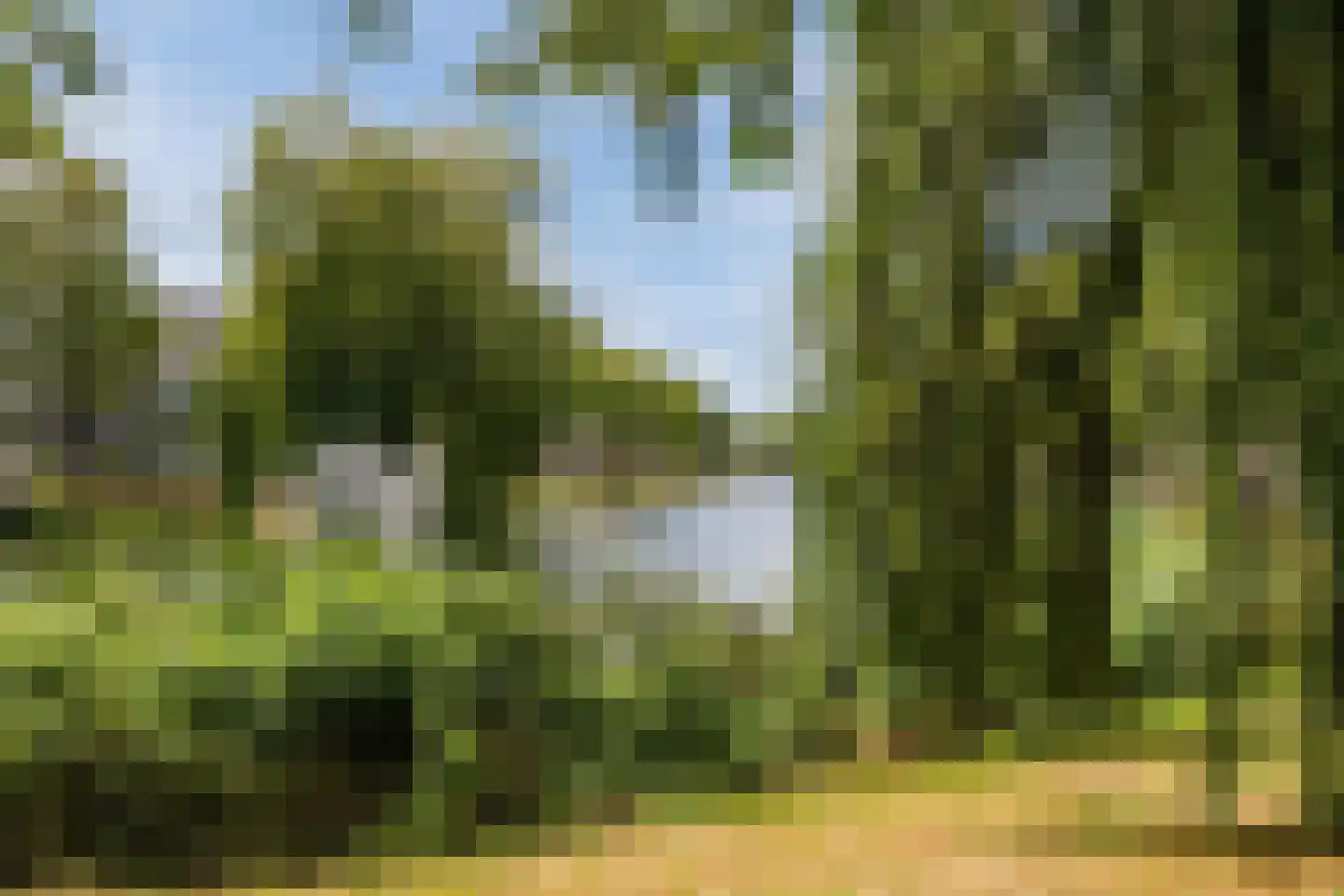Nevelpanter 42 Heerhugowaard thumbnail 64