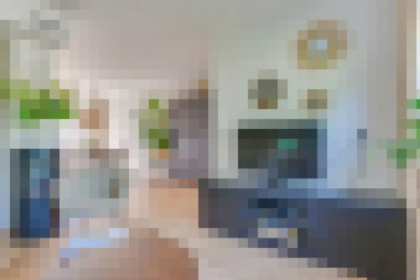 Nevelpanter 6 Heerhugowaard thumbnail 12