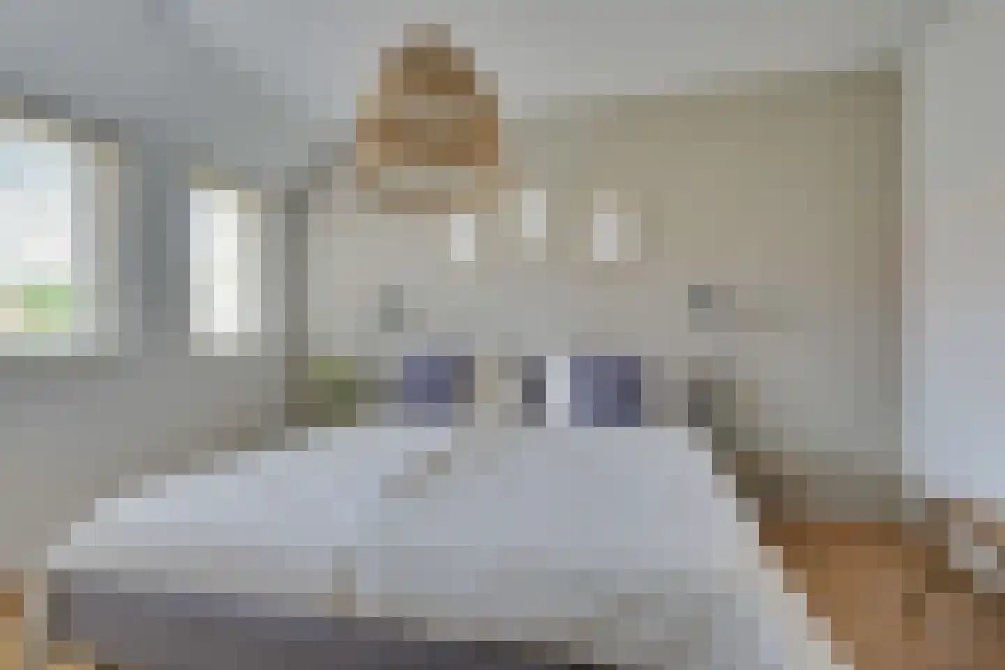 Nevelpanter 6 Heerhugowaard thumbnail 35