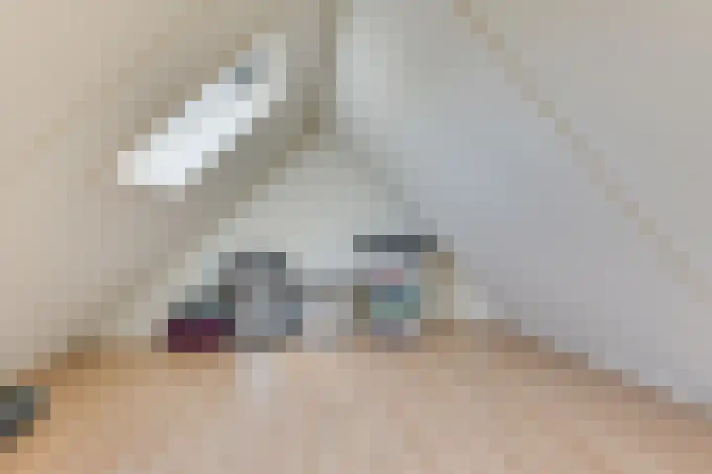 Nevelpanter 6 Heerhugowaard thumbnail 38