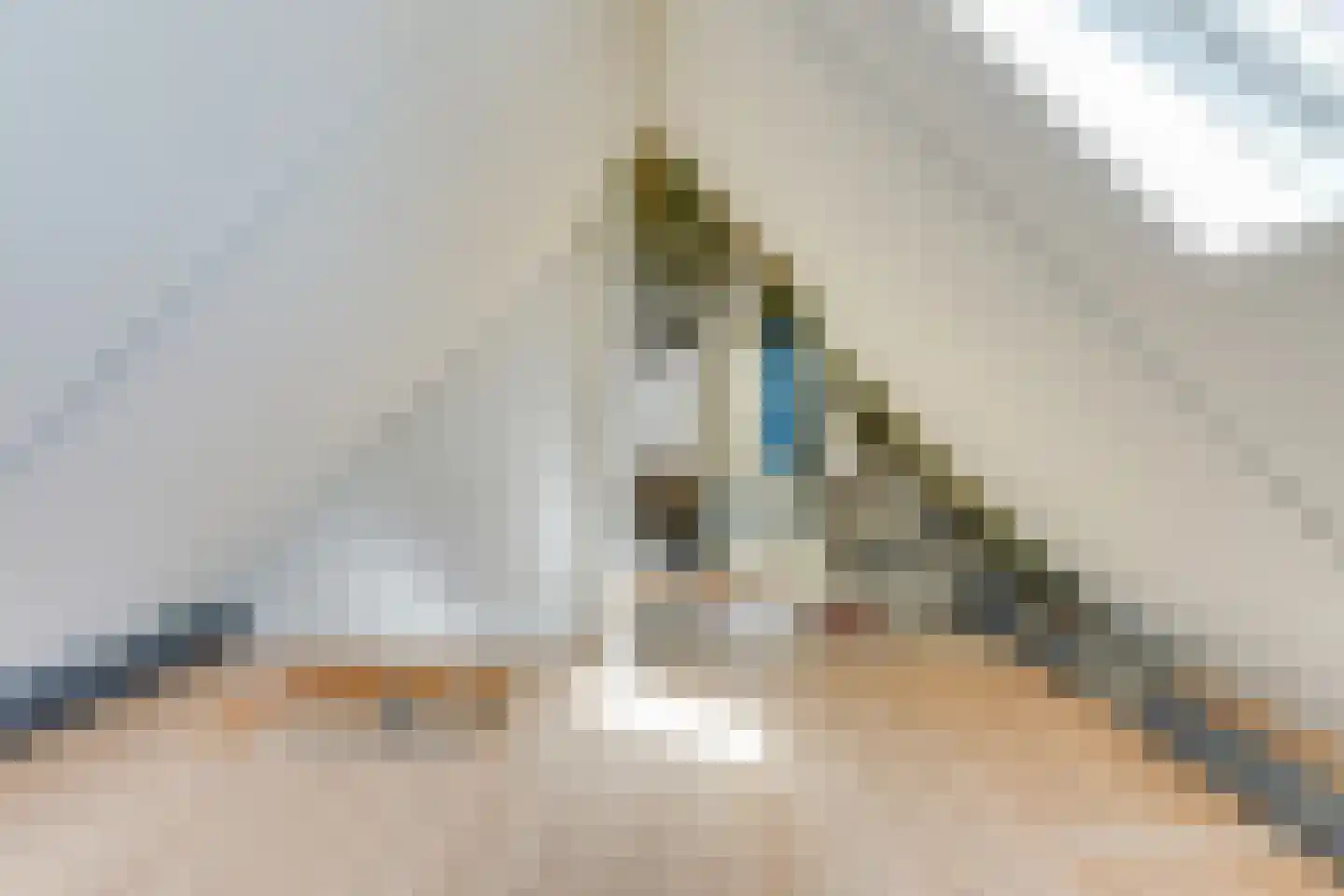 Nevelpanter 6 Heerhugowaard thumbnail 39