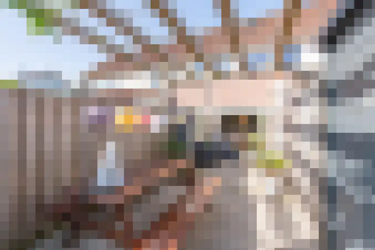 Nevelpanter 6 Heerhugowaard thumbnail 48