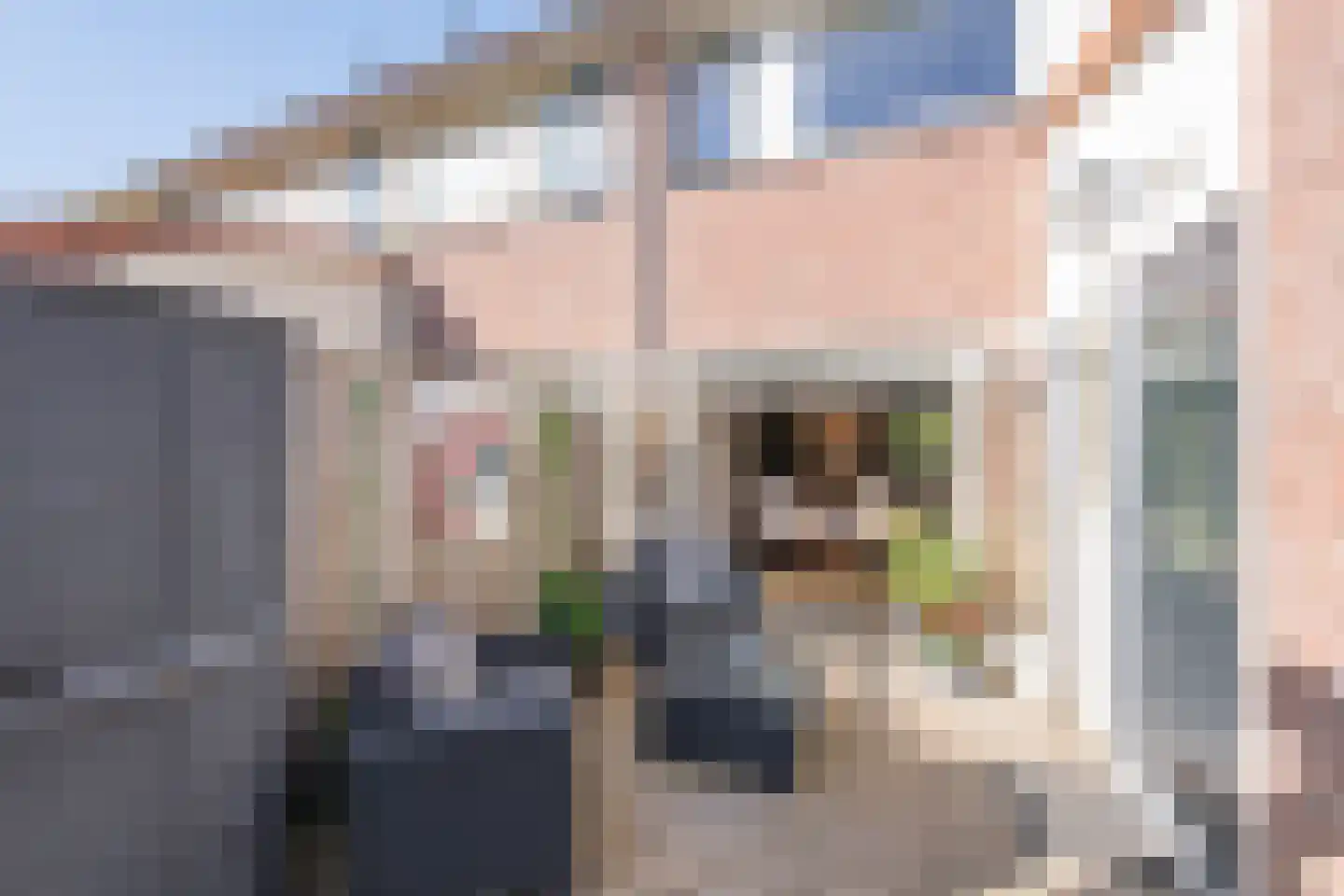 Nevelpanter 6 Heerhugowaard thumbnail 49
